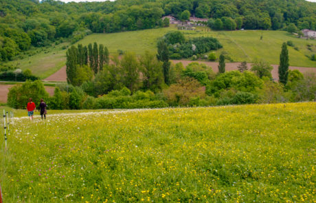 uitzicht vanaf writer's block-hut Domain du Merlet Frankrijk