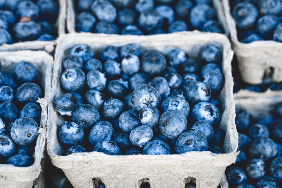 berry-blue-blueberries-70862